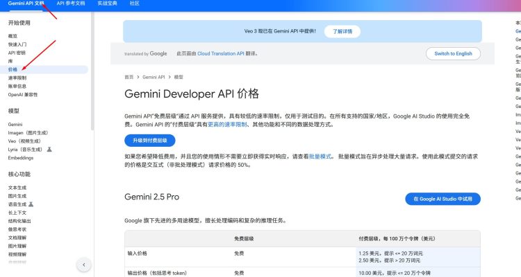 Google AI Studio价格说明截图