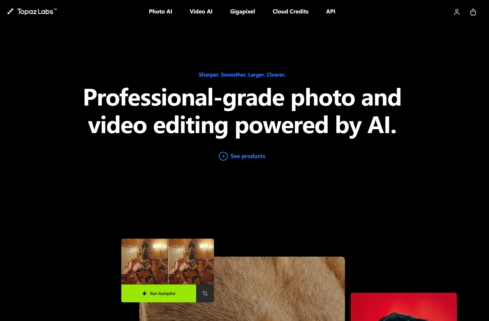 Topaz Labs