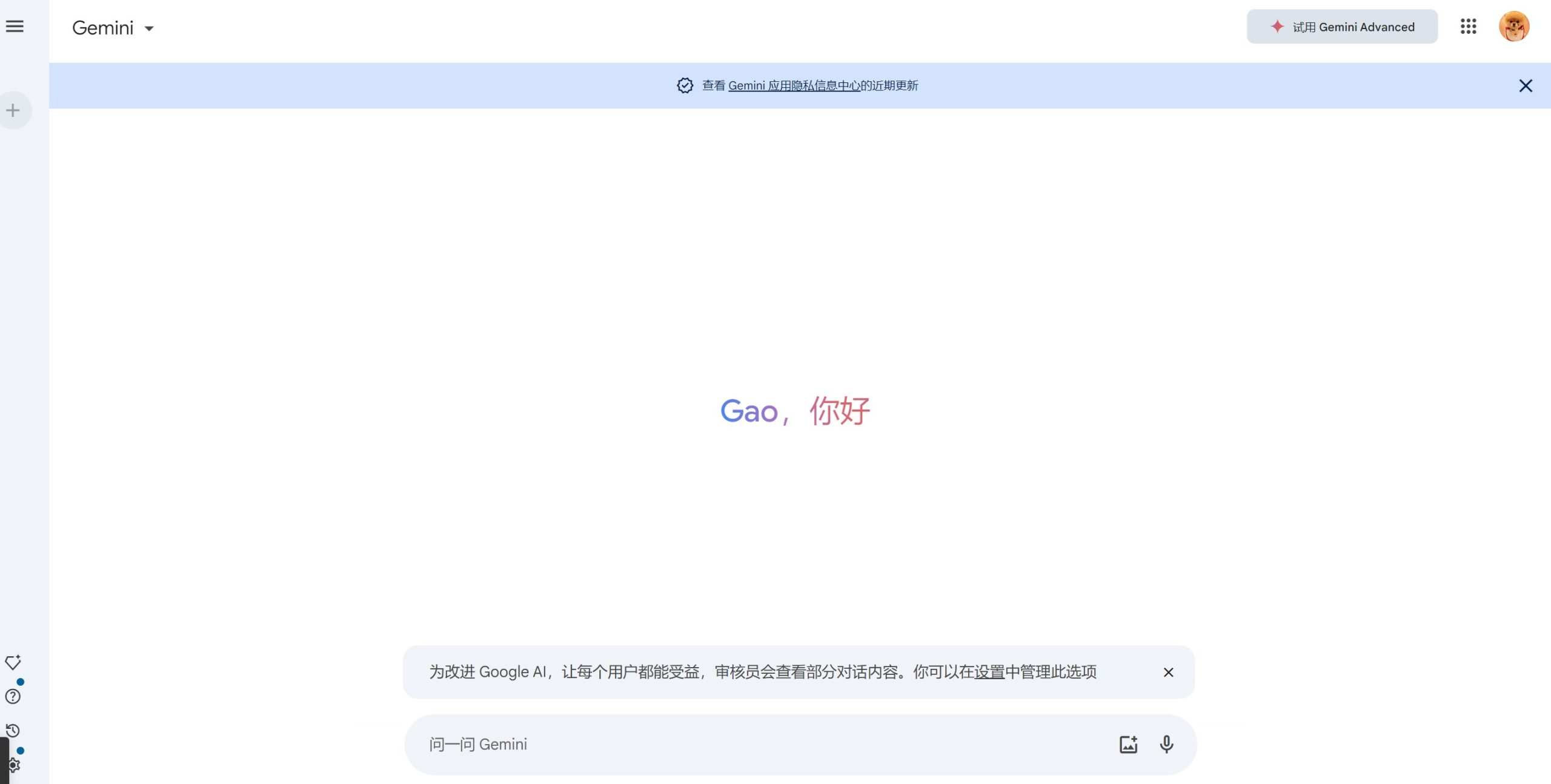 谷歌Gemini人工智能操作界面截图