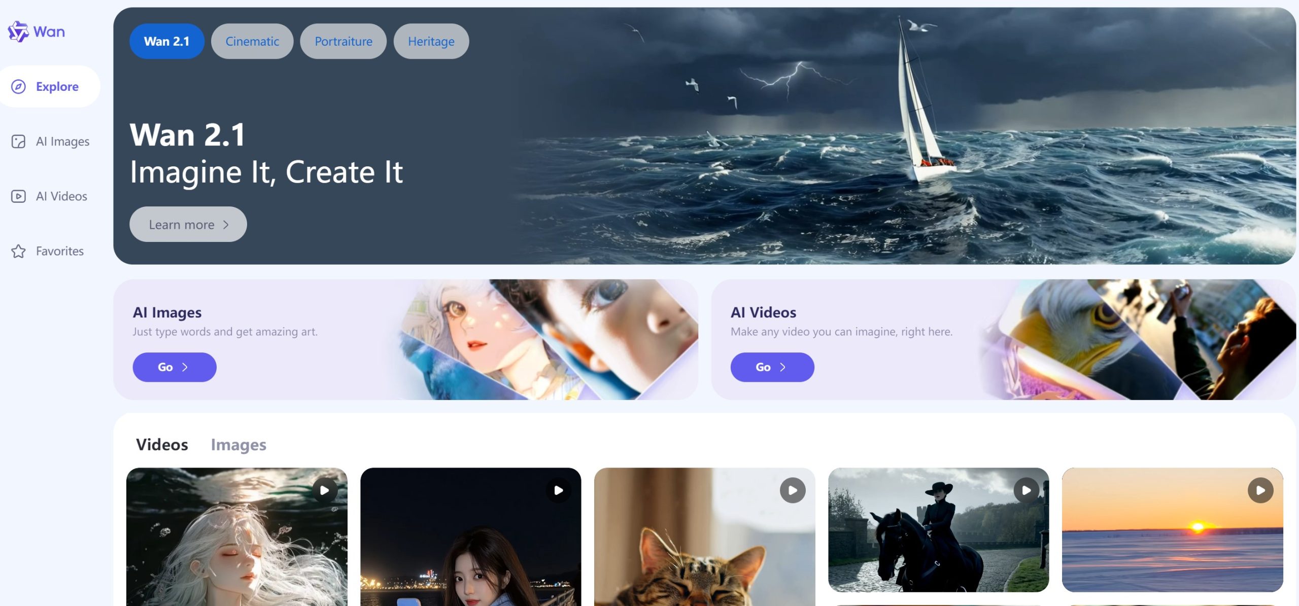 Wan AI平台操作界面示例